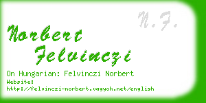 norbert felvinczi business card